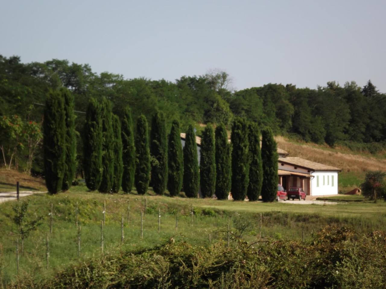 Casale Arcadia Hotel Orvieto Buitenkant foto